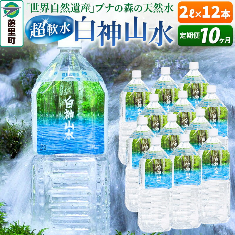 【ふるさと納税】【定期便10ヶ月】白神山水（2L×12本） 水 ミネラルウォーター