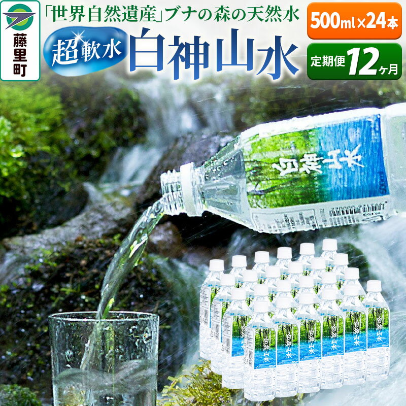 【ふるさと納税】【定期便12ヶ月】白神山水（500ml×24本） 水 ミネラルウォーター