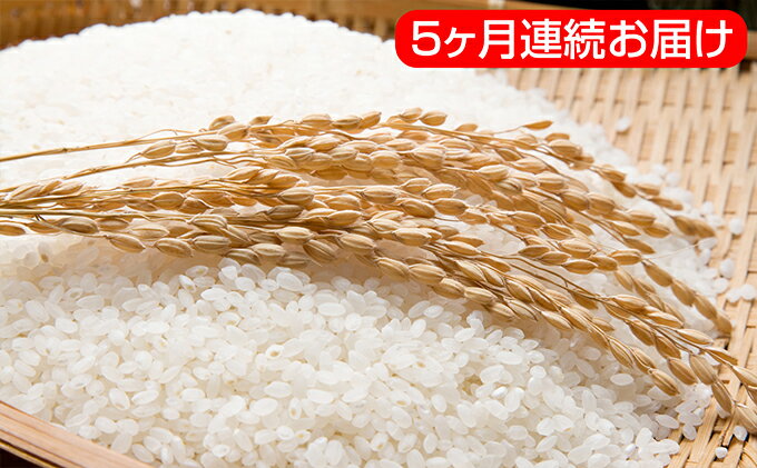 【ふるさと納税】あきたこまち特別栽培米 自信作5ヶ月連続お届け 5kgを5回 【定期便・お米・あきたこまち・頒布会】 お届け:2018年11月中旬頃から順次発送 【ふるさと納税】あきたこまち特別栽培米 自信作5ヶ月連続お届け 5kgを5回 【定期便・お米・あきたこまち・頒布会】 お届け:2018年11月中旬頃から順次発送