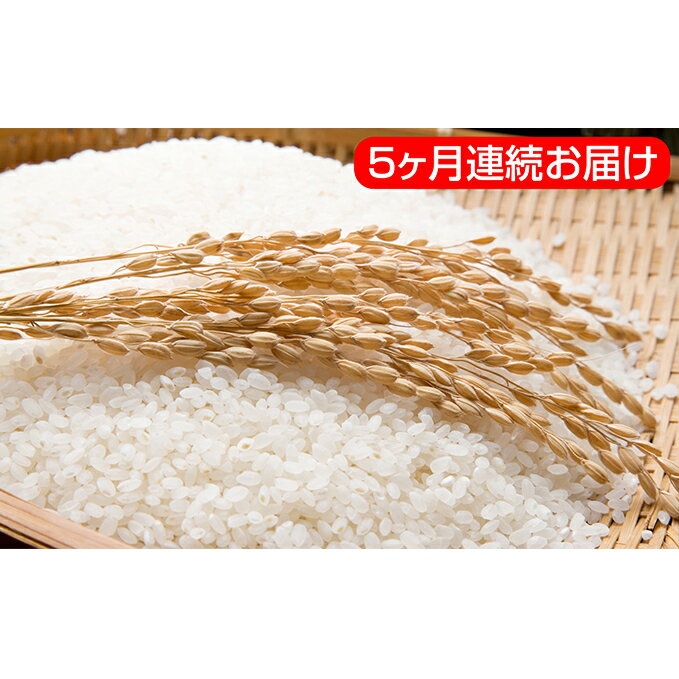 【ふるさと納税】あきたこまち特別栽培米 自信作5ヶ月連続お届け 5kgを5回 【定期便・お米・あきたこまち・頒布会】 お届け:2018年11月中旬頃から順次発送 【ふるさと納税】あきたこまち特別栽培米 自信作5ヶ月連続お届け 5kgを5回 【定期便・お米・あきたこまち・頒布会】 お届け:2018年11月中旬頃から順次発送