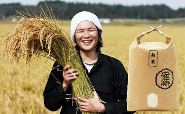 【ふるさと納税】【早期受付開始】令和2年 三種町産 あきたこまち 白米10kg（3カ月間連続発送）合計30kg ＜安藤食品＞　【定期便・お米・あきたこまち】　お届け：2020年10月中旬頃から順次発送