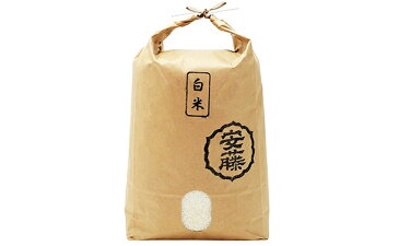 【ふるさと納税】【早期受付開始】令和2年 三種町産 あきたこまち 白米10kg（3カ月間連続発送）合計30kg ＜安藤食品＞　【定期便・お米・あきたこまち】　お届け：2020年10月中旬頃から順次発送