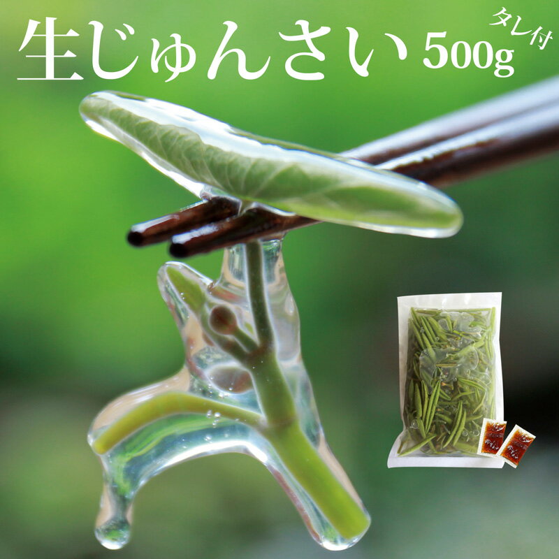 【ふるさと納税】生じゅんさい500g ゆずタレ2個 《冷蔵》（2024年5月中旬頃～7月下旬順次発送予定） 令和6年産 2024年産 先行受付 秋田県産 三種町産のサムネイル