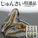 【ふるさと納税】特選じゅんさい水煮瓶詰め 3本