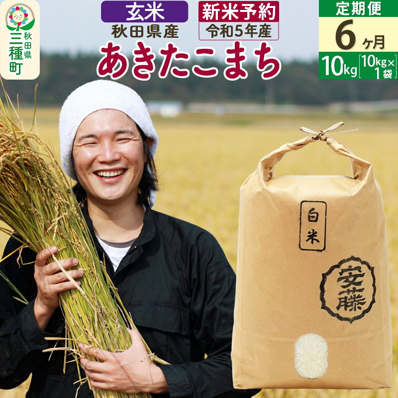 【ふるさと納税】《定期便6ヶ月》 【玄米】あきたこまち 10kg(10kg×1袋)×6回 計60kg 令和4年産新米から開始 予約