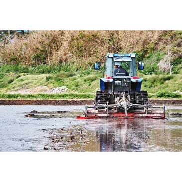【ふるさと納税】《定期便6ヶ月》 【玄米】あきたこまち 10kg(10kg×1袋)×6回 計60kg 令和4年産新米から開始 予約