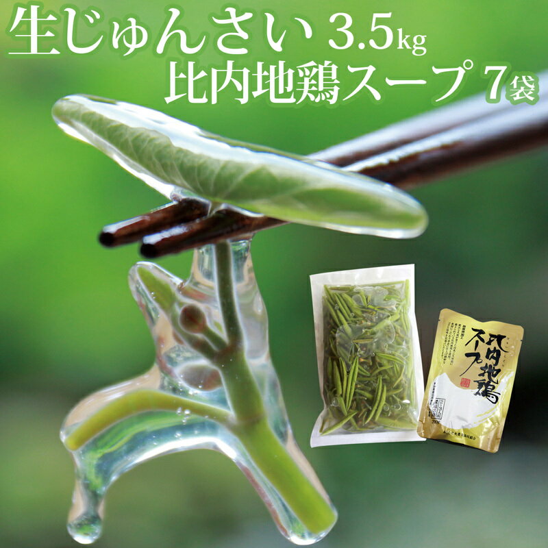 生じゅんさい3.5kg＋比内地鶏スープ200ml×7袋 《冷蔵》（2024年5月中旬頃～7月下旬順次発送予定） 令和6年産 2024年産 先行受付 秋田県産 三種町産