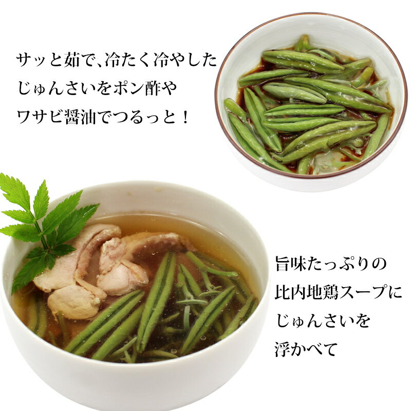 【ふるさと納税】生じゅんさい 比内地鶏スープ付 《冷蔵》【選べる内容量500g〜4kg】（2026年5月上旬頃〜7月下旬までに発送予定） 令和8年産 2026年産 先行受付 秋田県産 三種町産