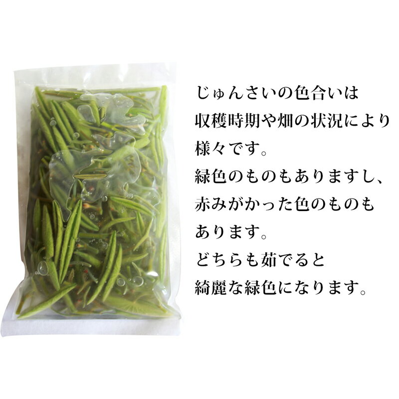 秋田県三種町の画像3