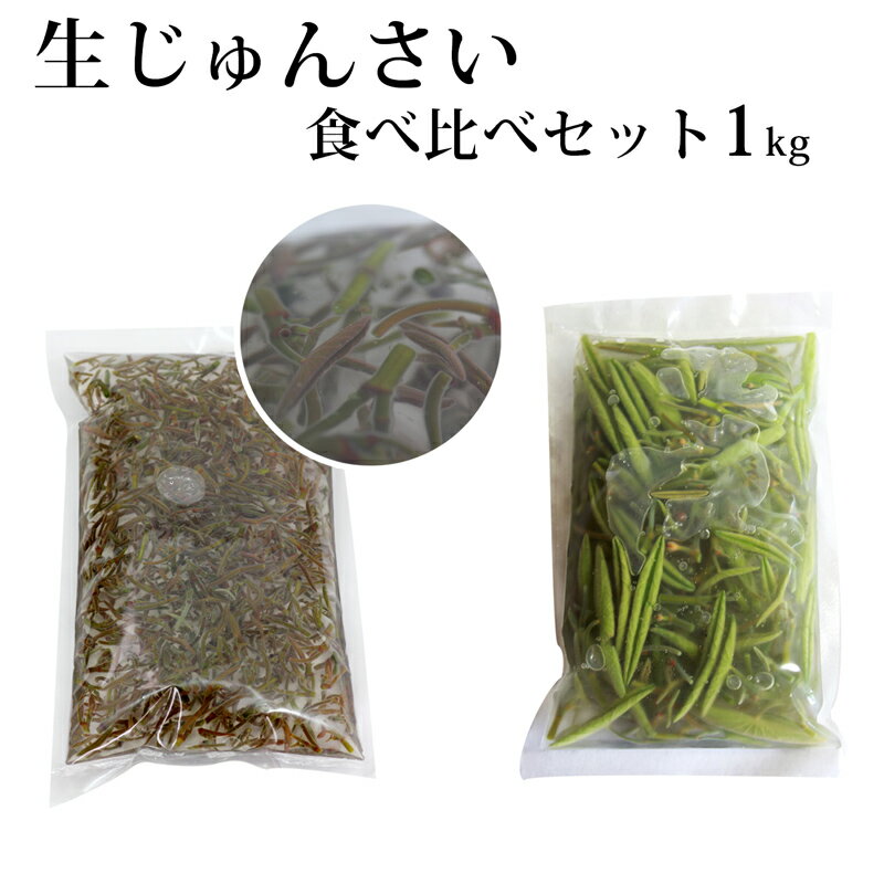 【ふるさと納税】生じゅんさい食べ比べセット1kg タレ4個（生じゅんさい500g、特選生じゅんさい500g） 《冷蔵》（2024年5月中旬頃～7月下旬順次発送予定） 先行受付