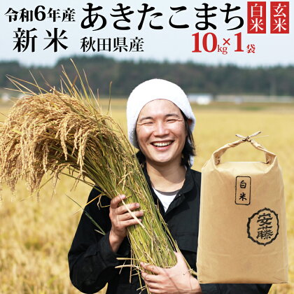 《令和6年産 新米予約》秋田県産 あきたこまち 10kg(10kg×1袋) 【白米／玄米 選べる】令和6年産