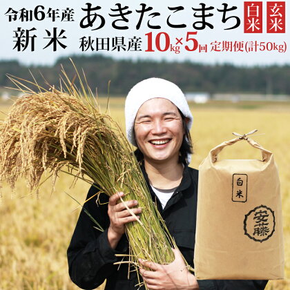 《令和6年産 新米予約》《定期便5ヶ月》秋田県産 あきたこまち 10kg(10kg×1袋)×5回【白米／玄米 選べる】計50kg 令和6年産