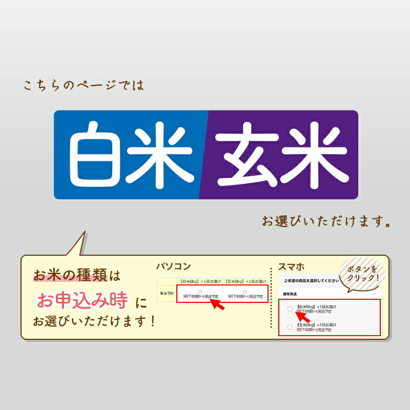 【ふるさと納税】《令和6年産 新米予約》《定期便6ヶ月》秋田県産 あきたこまち 10kg(10kg×1袋)×6回【白米／玄米 選べる】計60kg 令和6年産