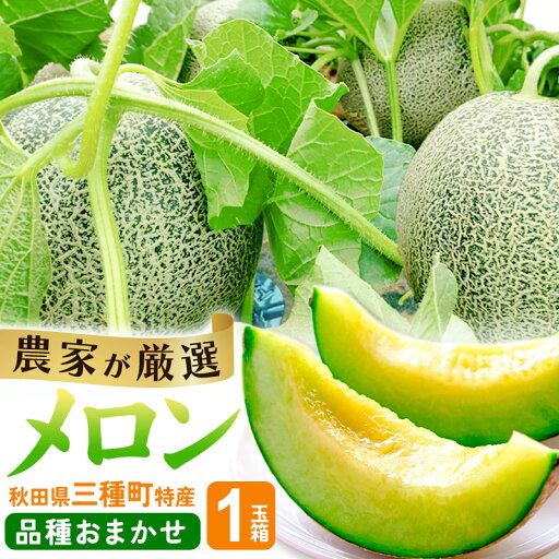 【ふるさと納税】三種町特産 品種お任せ メロン 1玉箱(品種お任せ) 【ふるさと納税】三種町特産 品種お任せ メロン 1玉箱(品種お任せ)
