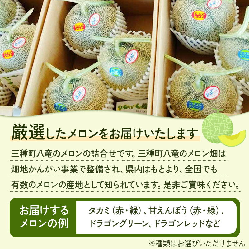 【ふるさと納税】三種町特産 品種お任せ メロン 1玉箱（品種お任せ）