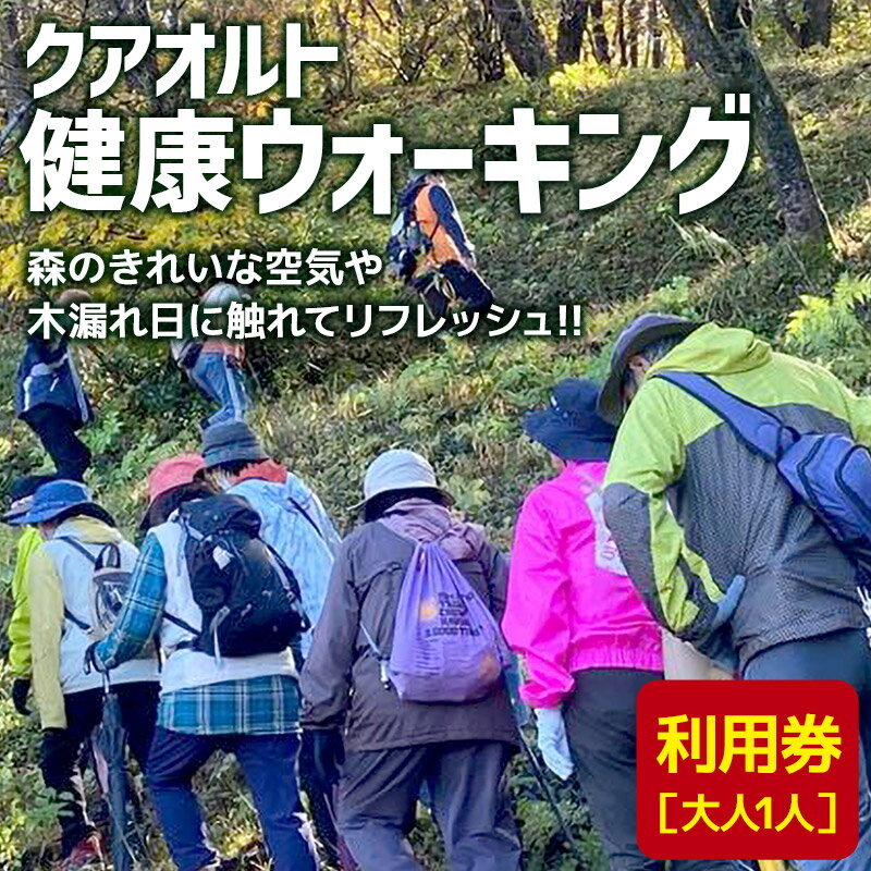 【ふるさと納税】クアオルト健康ウオーキング 利用券【大人1人】