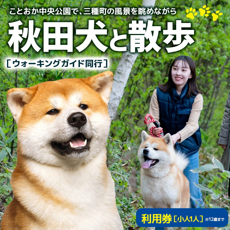 【ふるさと納税】秋田犬と散歩 利用券【小人1人（12歳まで）】ウォーキングガイド同行