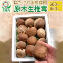 18位! 口コミ数「0件」評価「0」秋田県産 原木生椎茸（600～650g）農薬不使用 産地直送