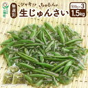 一粒一粒、丁寧に摘み取った「じゅんさい」をお届けします。 つるんとした食感はのど越しもよく、酢の物・ワサビ醤油・お好みのドレッシングと和えたり、鍋料理に入れても美味しくお召し上がり頂けます。 なるべくお早めにお召しあがり頂くことをおすすめしますが、お手元に届きましたら、早めにボイルして頂くと、冷蔵庫で1週間ほど保存できます。 返礼品詳細 名称 じゅんさい 内容量 500g×3袋 産地名 秋田県 賞味期限 7日 冷蔵庫にて1週間の冷蔵保存 注意事項 ※画像はイメージです。 ・天候や収穫状況によりお届け時期が前後する場合がございます。 ・天候や災害等の影響によりお選びいただいた返礼品のご用意が困難となった 場合、同額寄付の他の返礼品を代替とさせていただく場合がございます。 ・返礼品によっては、天候や生育状況により、お届けのご希望や品種の変更等、やむを得ずお願いをする場合がございます。 提供元 じゅんさいの館 配送温度帯 冷蔵 配送不可地域 沖縄県,離島 ・寄附申込みのキャンセル、返礼品の変更・返品はできません。あらかじめご了承ください ・ふるさと納税よくある質問はこちら