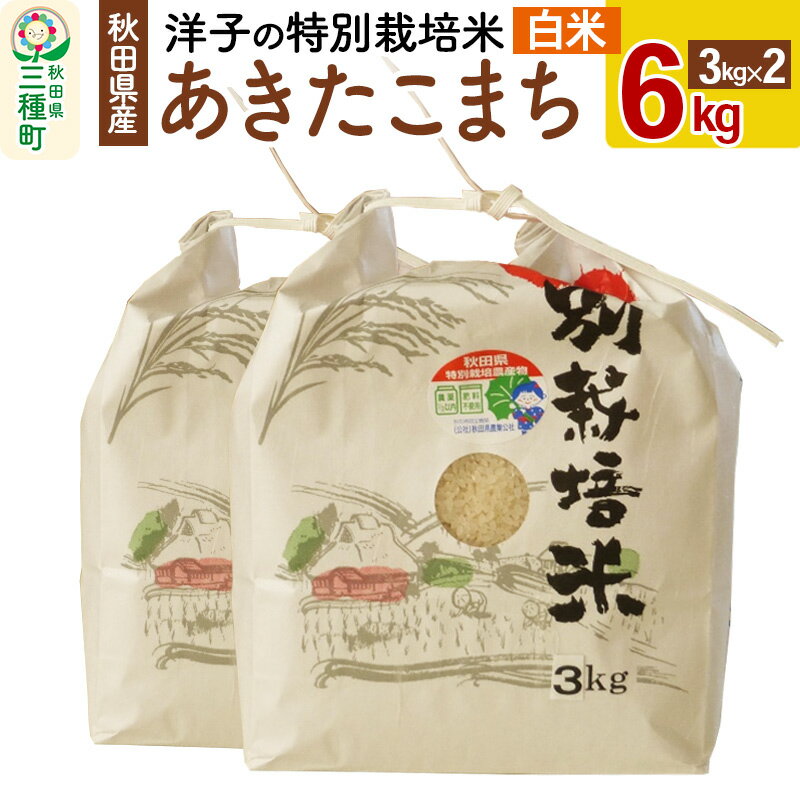 洋子の あきたこまち 特別栽培米 6kg(3kg×2袋) 秋田県産 一等米 [白米] 令和5年産