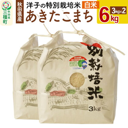 洋子の あきたこまち 特別栽培米 6kg(3kg×2袋) 秋田県産 一等米 【白米】 令和5年産