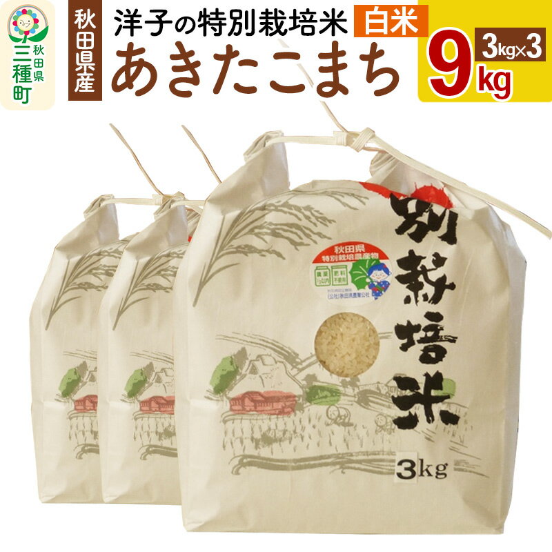 洋子の あきたこまち 特別栽培米 9kg(3kg×3袋) 秋田県産 一等米 【白米】 令和5年産