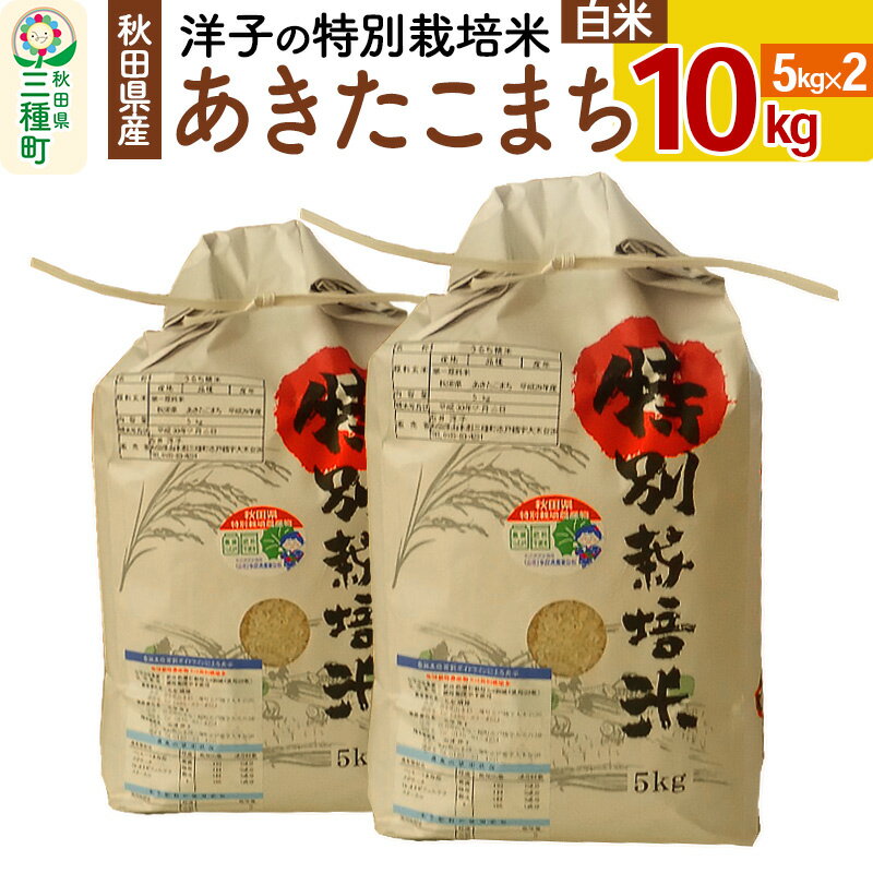 洋子の あきたこまち 特別栽培米 10kg(5kg×2袋) 秋田県産 [白米] 令和5年産