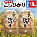 【ふるさと納税】《新米》【精米】こしひかり 10kg(5kg×2袋)令和7年産 米 秋田県 三種町産