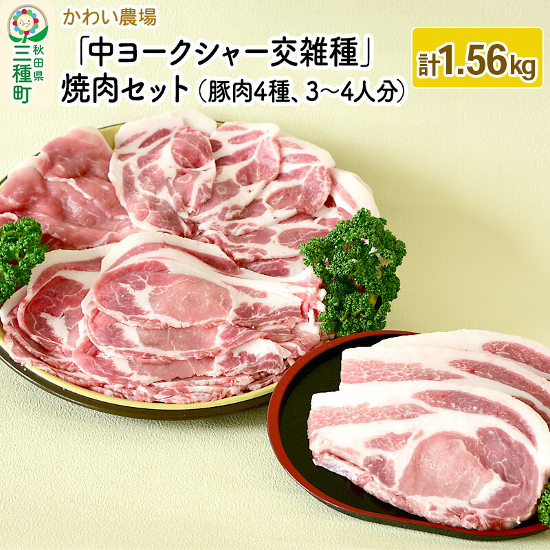 かわい農場「中ヨークシャー交雑種」焼肉セットA（豚肉4種類、3～4人分） しっぽ豚