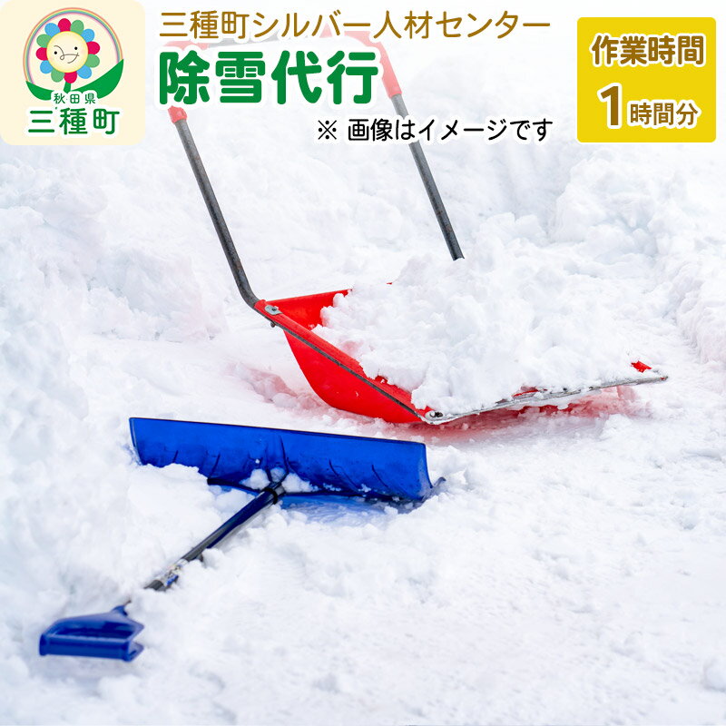 代行サービス人気ランク10位　口コミ数「0件」評価「0」「【ふるさと納税】除雪代行サービス（1時間分）※チケット等の発送はありません。」