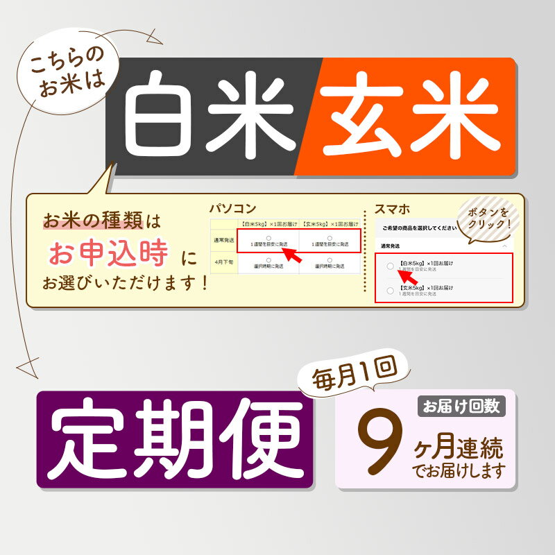 【ふるさと納税】新米予約《9ヶ月定期便》【白米／玄米】あきたこまち 20kg (10kg×2袋 ) 発送時期選べる 秋田県三種町産 令和6年産 下岩川舞 石井漠 をどるばか オリジナルラベル