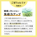 秋田県三種町の画像3
