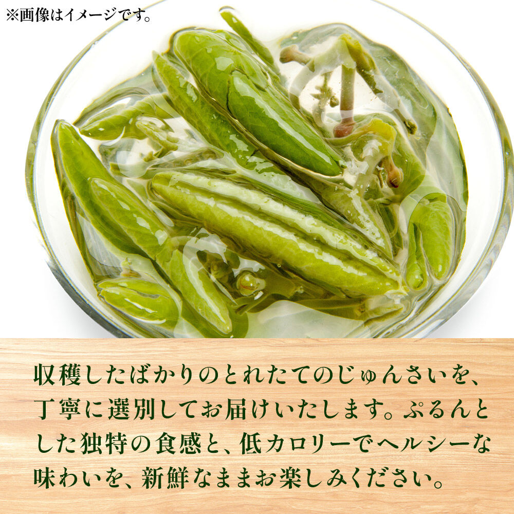 【ふるさと納税】じゅんさい【選べる内容量 500g／1kg】秋田県山本郡三種町産 [じゅんさい 秋田県産 国産 自然食品]