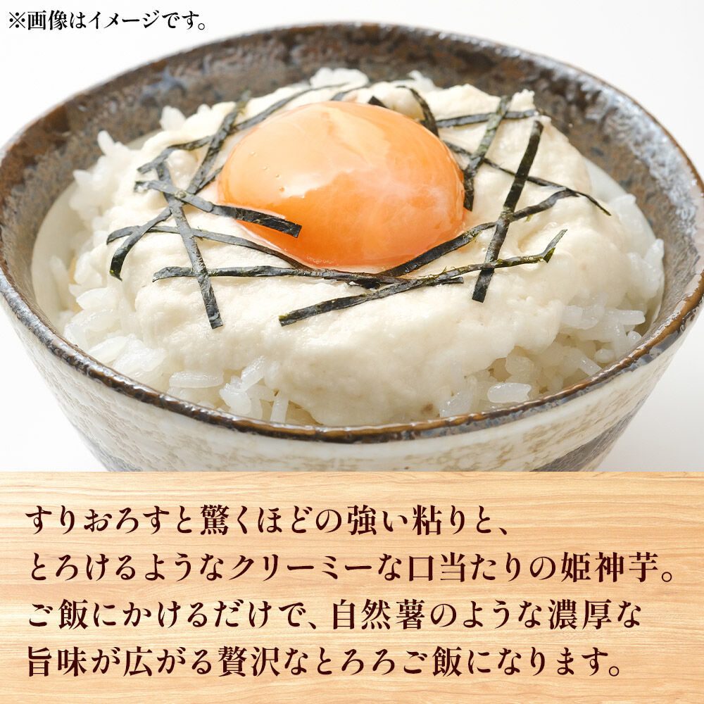 【ふるさと納税】姫神芋【選べる内容量 300g／500g】 秋田県山本郡三種町産 長芋 [長芋 粘り とろろ 国産 濃厚] f053481-mitane-10000800 秋田県三種町 サンプル画像2