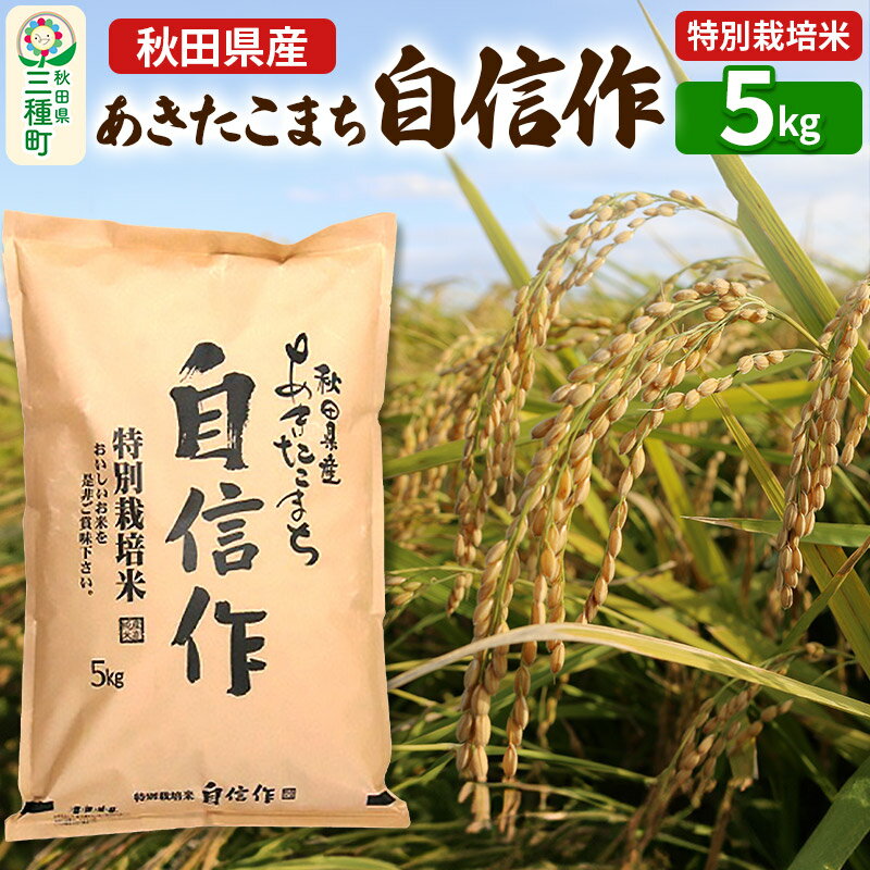 【ふるさと納税】【白米】あきたこまち 自信作 5kg(5kg×1袋) 令和5年産