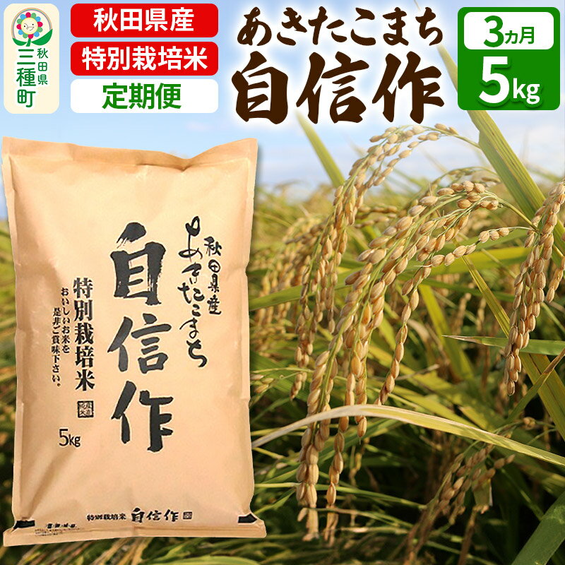 【ふるさと納税】《定期便3ヶ月》 【白米】あきたこまち 自信作 5kg(5kg×1袋)×3回 令和5年産