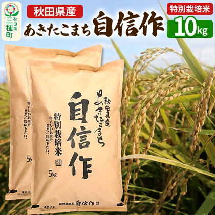 【白米】あきたこまち 自信作 10kg(5kg×2袋) 令和5年産