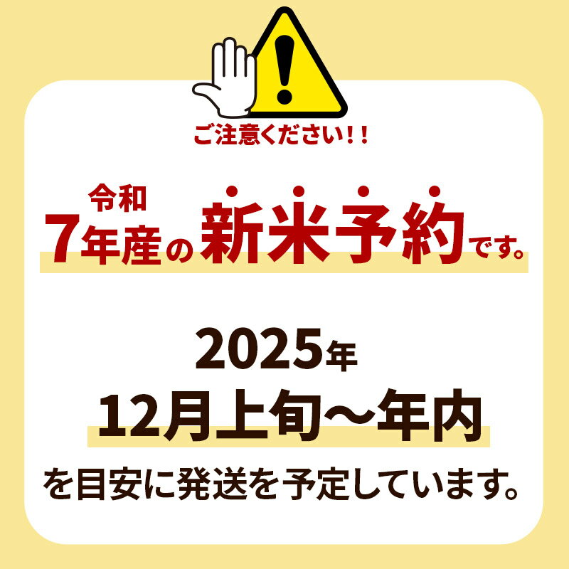 【ふるさと納税】《新米先行受付》あきたこまち 八峰町産 5kg【白米】令和7年産