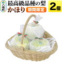 【ふるさと納税】梨 かほり 2個【期間限定】白神山地峰浜沢目地区で育った和梨