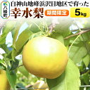 【ふるさと納税】梨 幸水 5kg【期間限定】 白神山地峰浜沢目地区で育った和梨