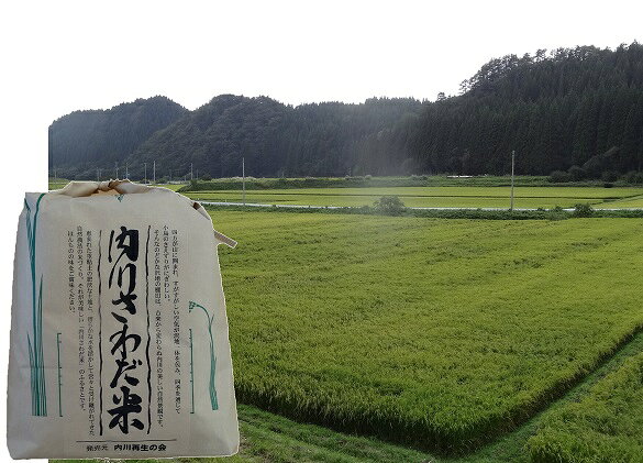【ふるさと納税】内川さわだ米（あきたこまち精米）5kg 「 悠紀の国 」 秋田県五城目町産　【お米・あきたこまち】【2026年10月下旬発送】 f053619-gojome-10000096 秋田県五城目町 サンプル画像2