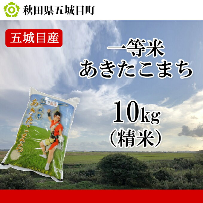【ふるさと納税】五城目産 一等米・あきたこまち10kg(精米) お米 秋田県産 お届け:2025年10月下旬まで