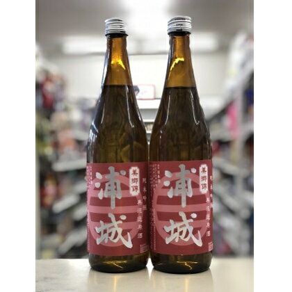 【生詰】純米吟醸無濾過原酒「赤浦城」720ml×2本　【お酒・日本酒・純米吟醸酒・純米吟醸無濾過原酒・アルコール・酒・果実味】