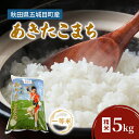 【ふるさと納税】JAあきた湖東 五城目産 一等米 あきたこまち 5kg 精米 秋田県産 お米 ご飯 ライス rice【配達不可:沖縄・離島】 お届け:2025年10月30日まで
