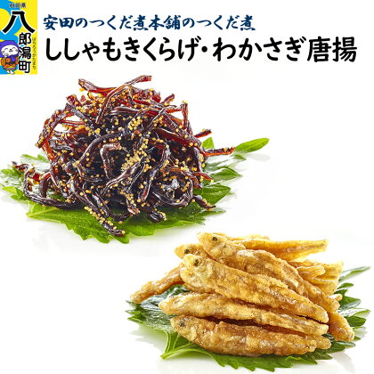 ＜母の日＞安田のつくだ煮本舗のつくだ煮 ししゃもきくらげ・わかさぎ唐揚（各290g 計580g）