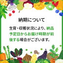 秋田県八郎潟町の画像3