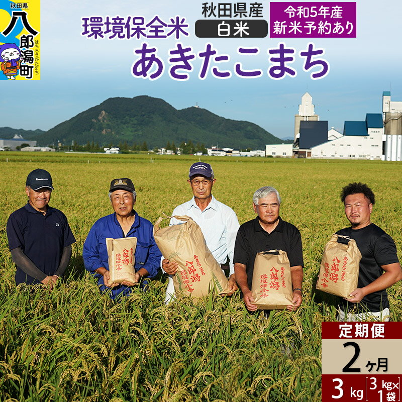 【ふるさと納税】【白米】《定期便2ヶ月》令和4年産 秋田県産 あきたこまち 環境保全米 3kg (3kg×1袋)×2回 計6kg 令和5年産新米予約