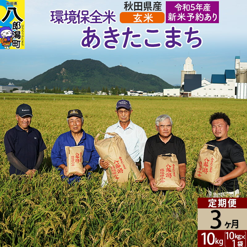 【ふるさと納税】【玄米】《定期便3ヶ月》令和4年産 秋田県産 あきたこまち 環境保全米 10kg (10kg×1袋)×3回 計30kg 令和5年産新米予約