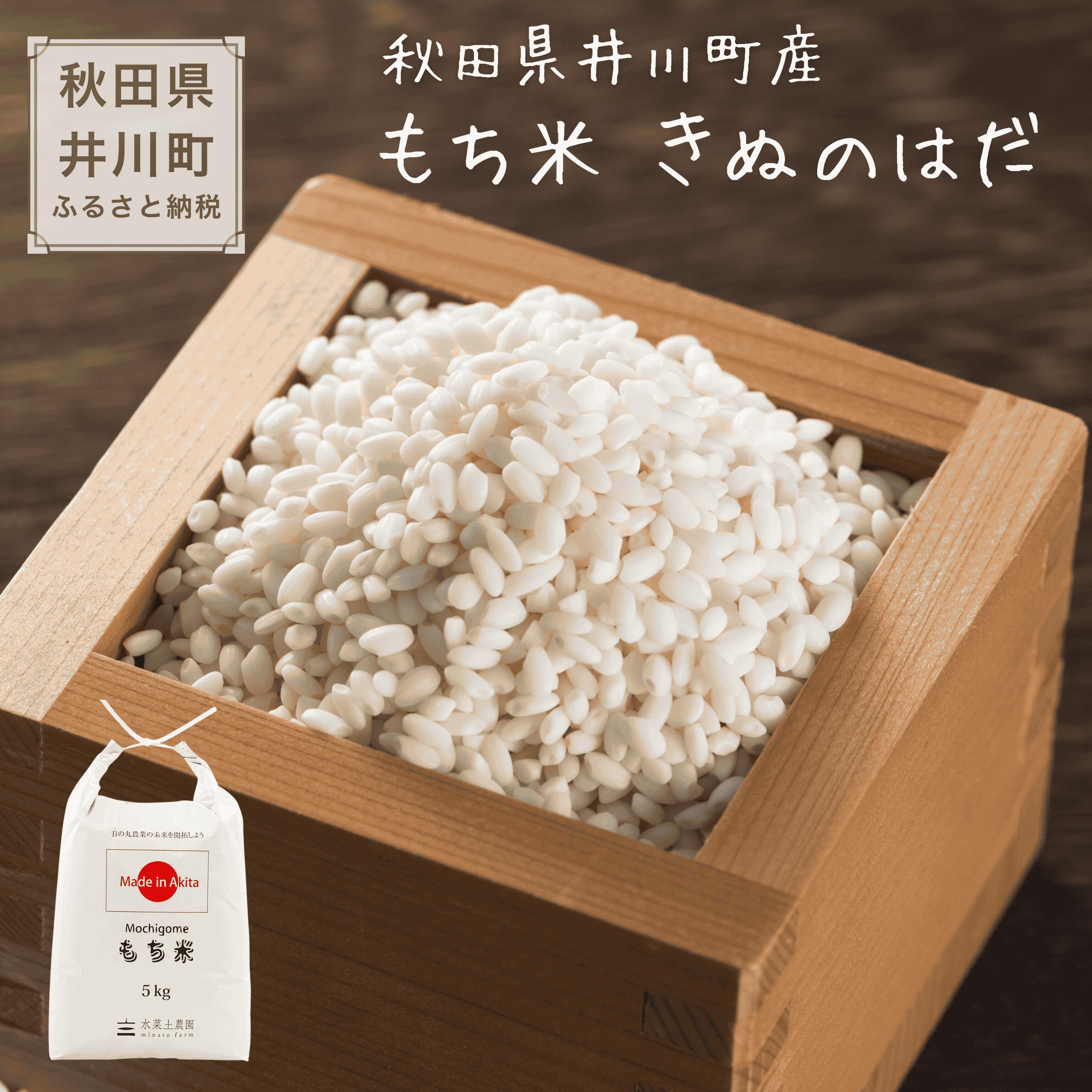 もち米 令和8年産 きぬのはだ 秋田県 井川町産 選べる 容量 白米 精米 餅米 水菜土農園
