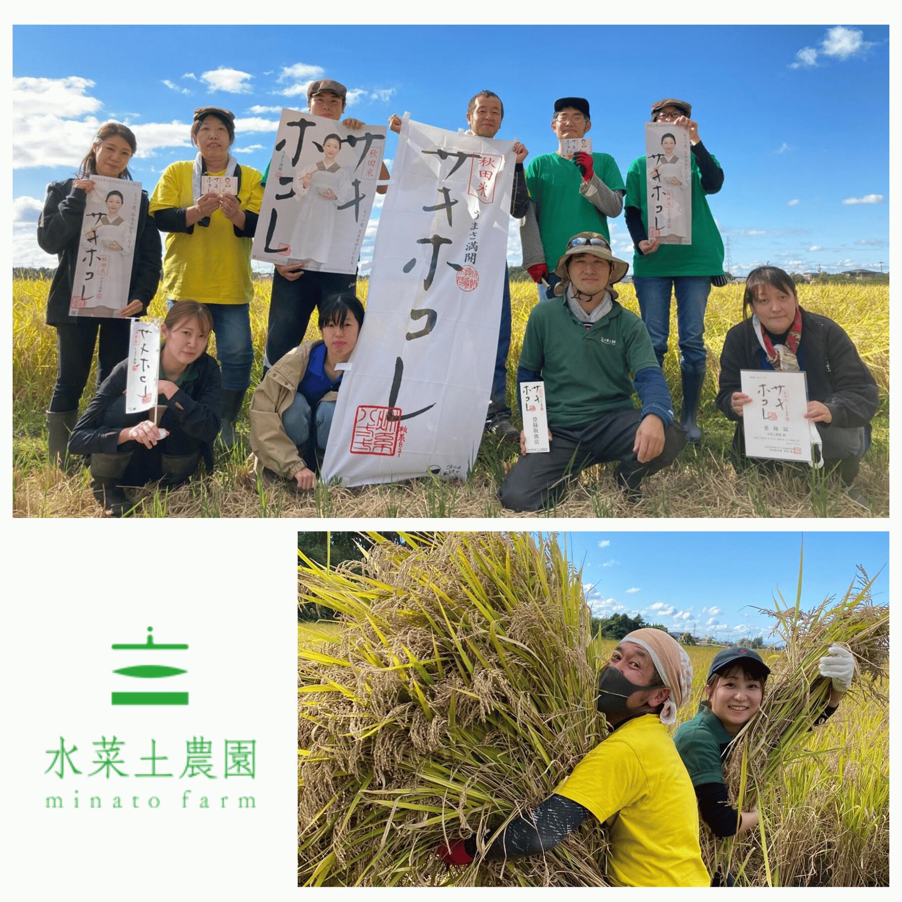 【ふるさと納税】 新米 令和8年産 サキホコレ 秋田県 井川町産 選べる 容量 単品 定期便 白米 精米 水菜土農園 f053660-ikawa-10000205 秋田県井川町 サンプル画像3